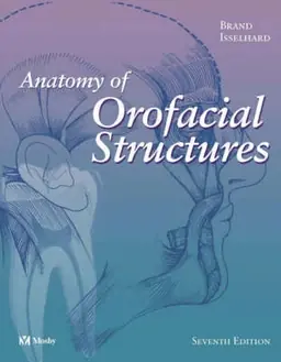 Anatomy of orofacial structures